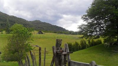 Ambientalistas en contra de la nueva ley de tierras