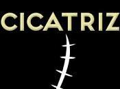 "Cicatriz", Juan Gómez-Jurado: thriller manual