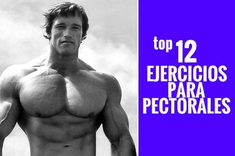 Quieres desarrollar la parte superior de tu cuerpo con lo... - Paperblog