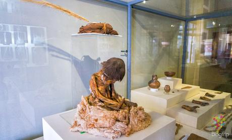 Momia prehispanica en el museo regional de Ica Perú