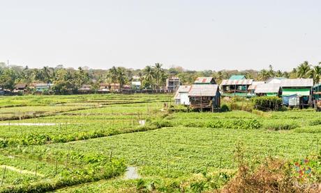 Paisaje de jardines flotantes, tren circular en Yangon Myanmar