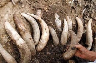 Top 10: Pseudociencias que (tal vez) no conoces Top 10: Pseudociencias que (tal vez) no conoces