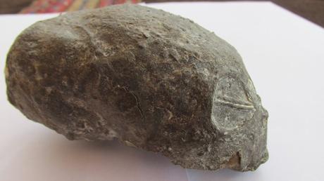 Dirección de Cultura de Nasca, Perú, investiga supuesto hallazgo extraterrestre