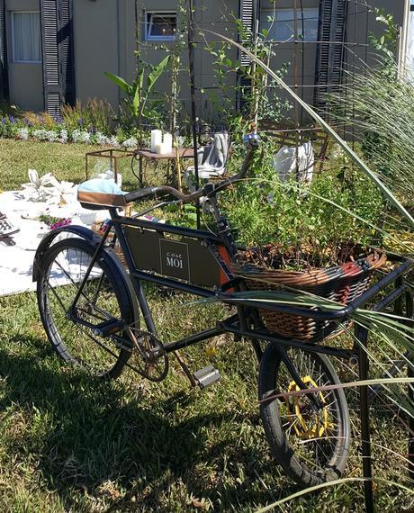 Estilo Pilar 2017 - Mi mirada