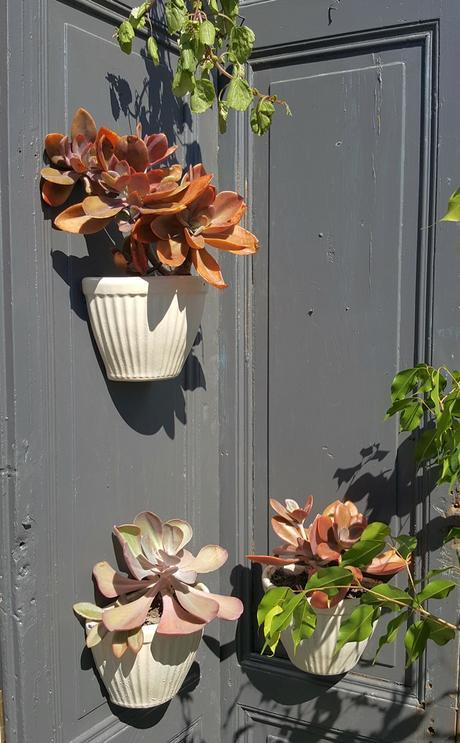 Estilo Pilar 2017 - Mi mirada