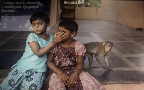 Collages híbridos en tierra de sueños