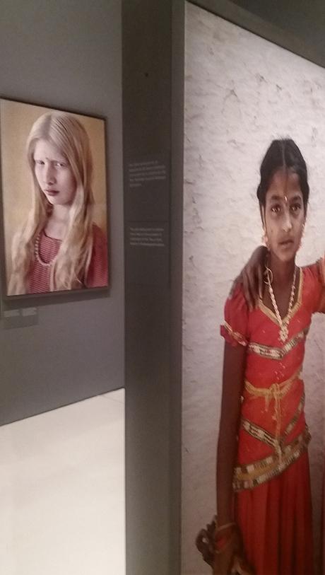 Collages híbridos en tierra de sueños