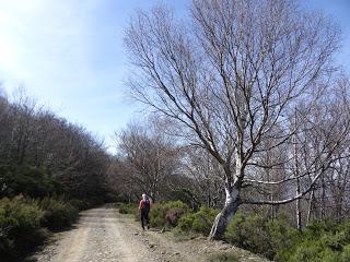 Felgueras-Serralba-L' Insiirtu-El L.lébanu-El Quéndanu-El Xabú