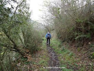 Felgueras-Serralba-L' Insiirtu-El L.lébanu-El Quéndanu-El Xabú