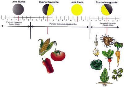 Las influencias de la luna (I)