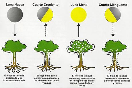 Las influencias de la luna (I)