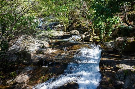 El Valle del Jerte en floración II. El Valle del Agua 