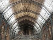 London (Natural History Museum):