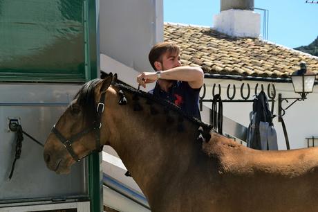 IX FERIA DEL QUESO DE VILLALUENGA DEL ROSARIO