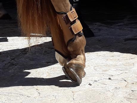 IX FERIA DEL QUESO DE VILLALUENGA DEL ROSARIO