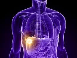 ¿Qué significa soñar con un hígado?