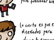 vida útil, programada.