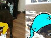 este perro falta pata dueño ilustra Instagram