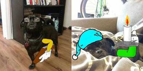 A este perro le falta una pata y su dueño se la ilustra en Instagram