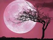 Luna llena inicia este martes atraerá abundancia