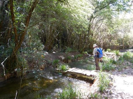 Sabadell - Torrent de Colobrers - Ermita de Togores - Torre del Canonge - Sabadell
