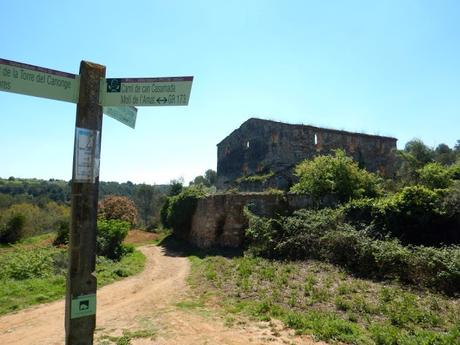 Sabadell - Torrent de Colobrers - Ermita de Togores - Torre del Canonge - Sabadell