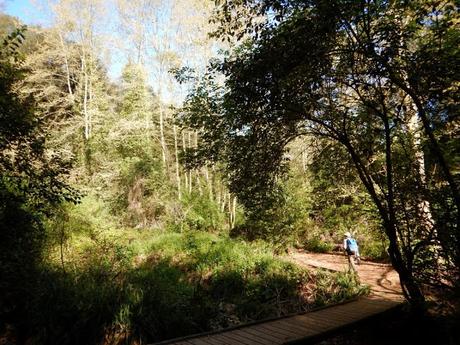 Sabadell - Torrent de Colobrers - Ermita de Togores - Torre del Canonge - Sabadell