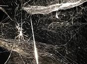 muestra mes: Saraceno Rizzo