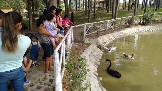 Juegos al aire libre, marzo 2017