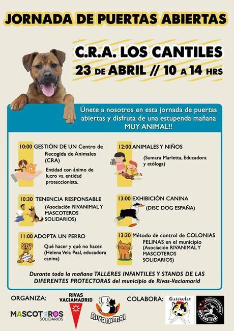 jornada puertas abiertas los cantiles