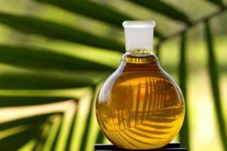 El aceite de palma y su problemática.