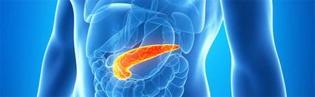 Función del páncreas