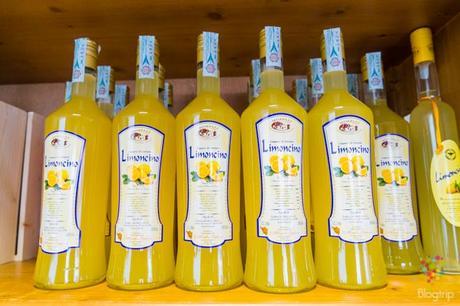 Visita de la grapperia artesanal Morelli Forcoli en Palaia, La Valdera