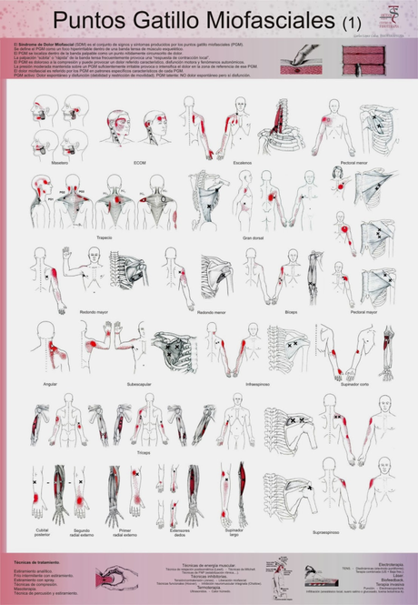 La osteopatía en las enfermedades inflamatorias intestinales La osteopatía en las enfermedades inflamatorias intestinales