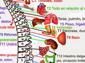 osteopatía enfermedades inflamatorias intestinales