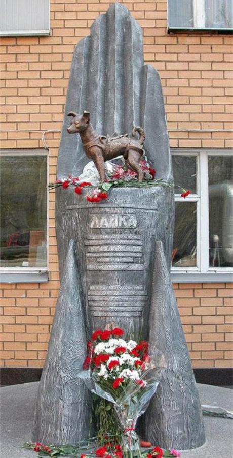 Laika, la terrible historia del primer perro #cosmonauta #Animales #mascotas