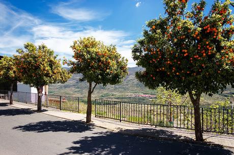 El Valle del Jerte en floración