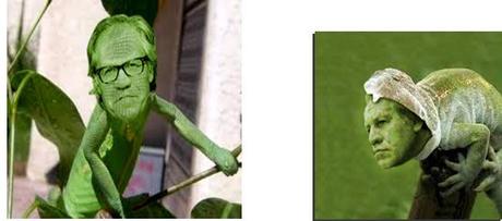 Alerta: Descubren nueva especie de camaleón