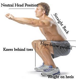 Los squats o sentadillas es uno de los ejercicios más pop... Image result for squat start position