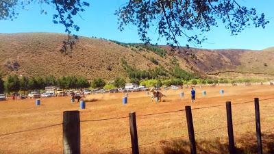 Un joven circulaba en cuatri, no advirtió un alambre a la altura del cuello y murió