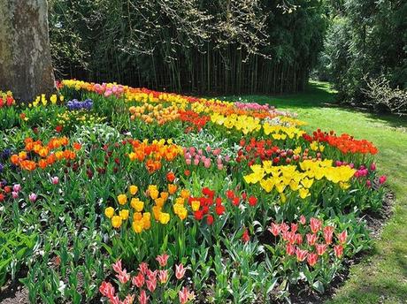 Visita Mainau: La Isla Paraíso De Jardínes y Flores