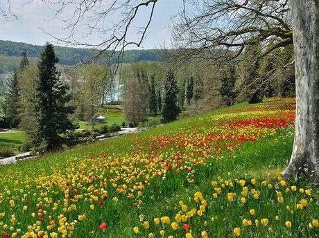 Visita Mainau: La Isla Paraíso De Jardínes y Flores