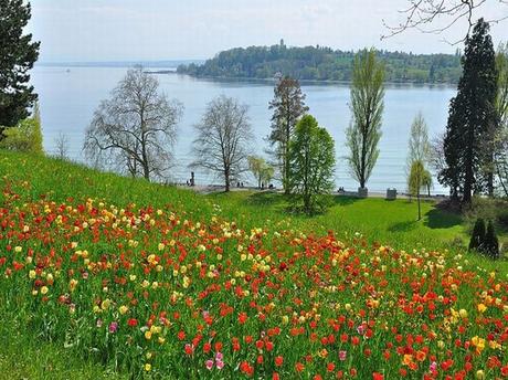 Visita Mainau: La Isla Paraíso De Jardínes y Flores