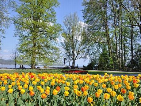 Visita Mainau: La Isla Paraíso De Jardínes y Flores