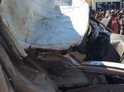 Mueren menores caída árbol sobre vehículo.