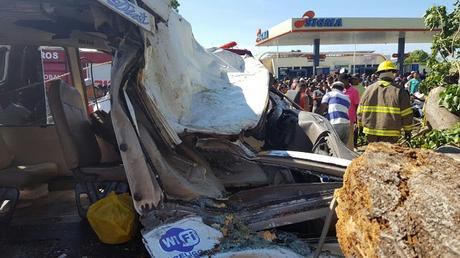 Mueren dos menores por caída de árbol sobre vehículo.