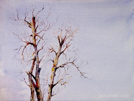 Acuarelas - Arboles y paisajes