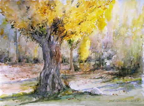 Acuarelas - Arboles y paisajes