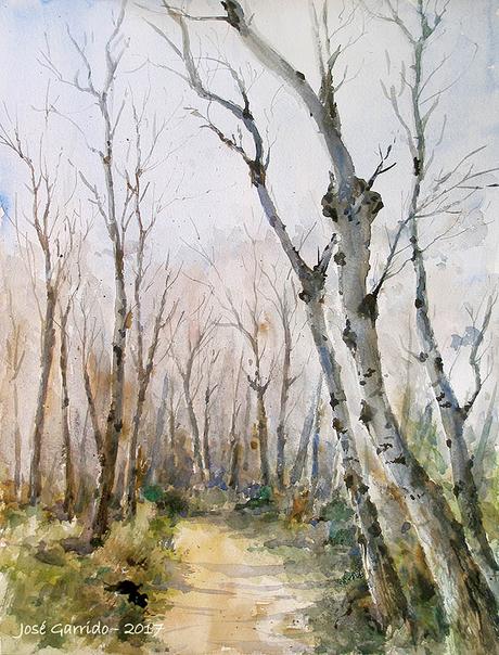 Acuarelas - Arboles y paisajes