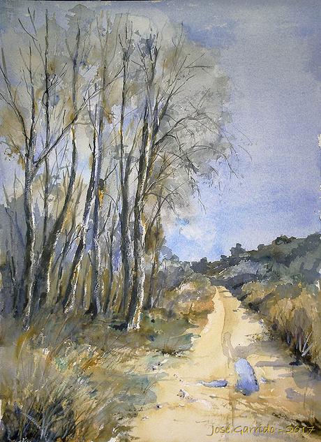 Acuarelas - Arboles y paisajes